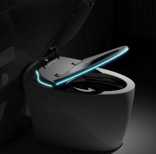 Ceramic Gray Automatic Smart Toilet System