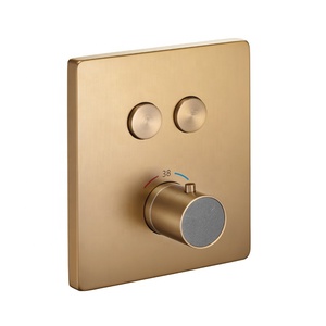Thermostatic Wall-Mount Two-Function Brass Valve Control Set
