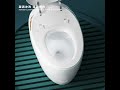 Ceramic Gray Automatic Smart Toilet video thumbnail