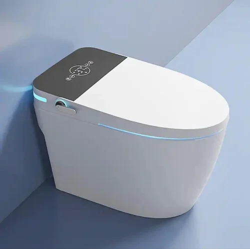 Luxurious Smart Toilet